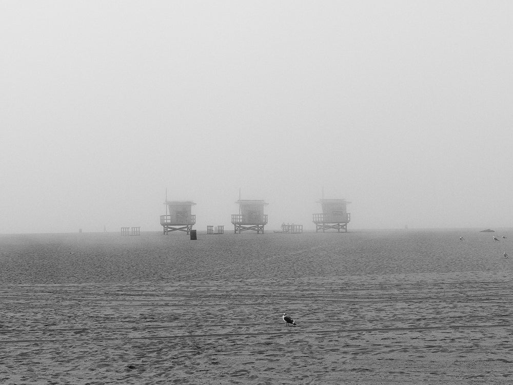 Fog at Venice Beach No. 1