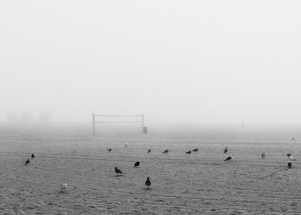 Fog at Venice Beach No. 2