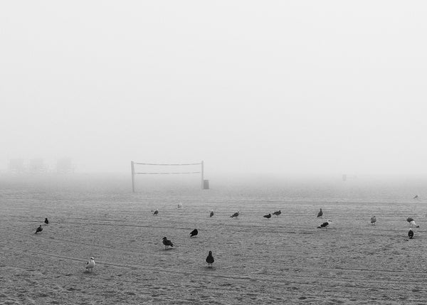 Fog at Venice Beach No. 2, Josh Welch